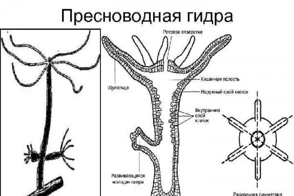 Что такое кракен тор