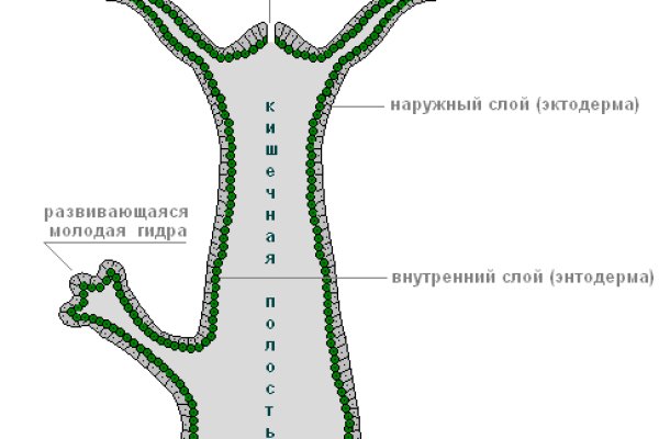 Где найти ссылку на кракен