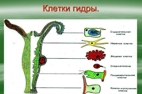Kraken onion вход