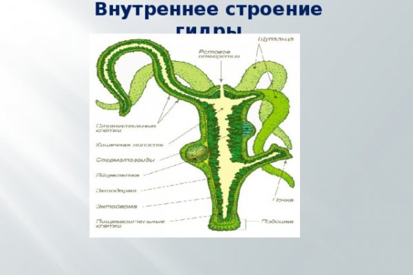 Найдется все kraken 2krn cc