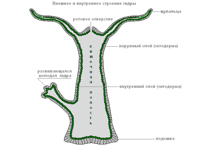 Ссылка кракен kraken014 com